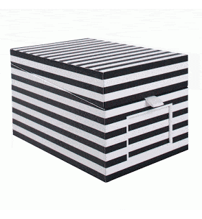 black and white stripe Semikolon CD-photo box from organize.com