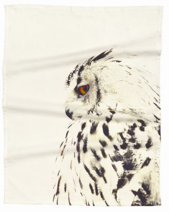 dishtowel with owl image