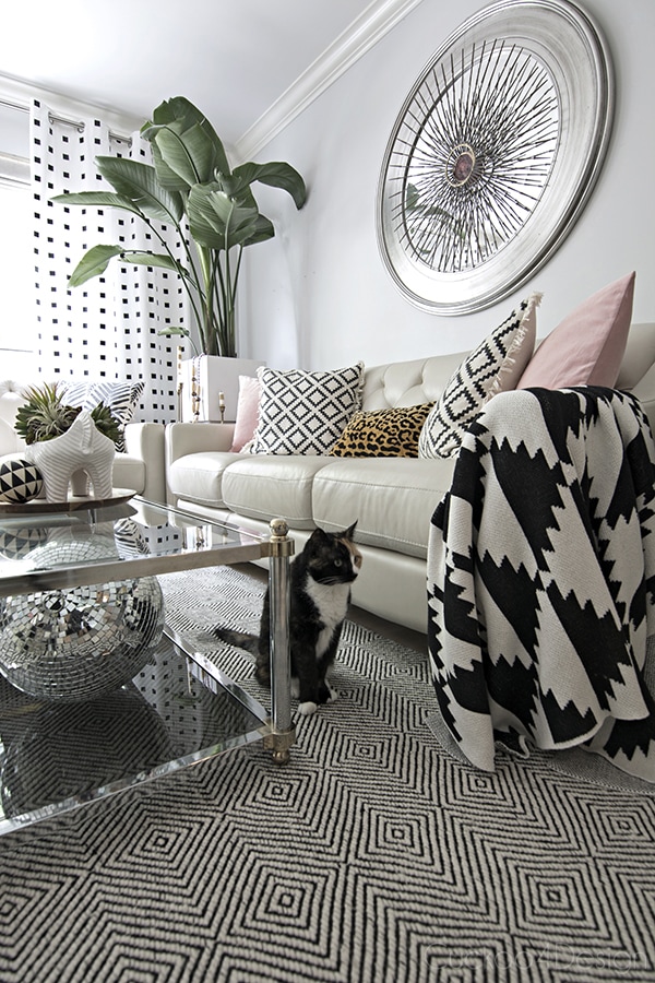 black and white neutral living room with hints of pink and leopard