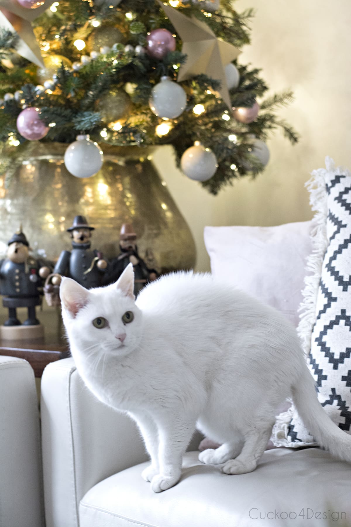 our white cat on sofa in front of the Christmas tree