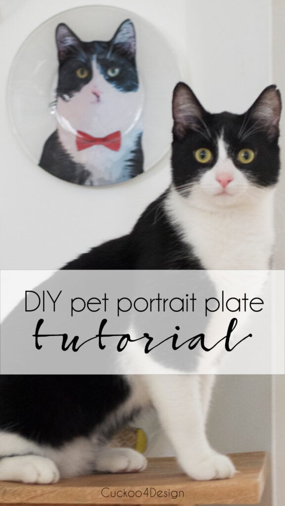 DIY pet portrait of my tuxedo cat