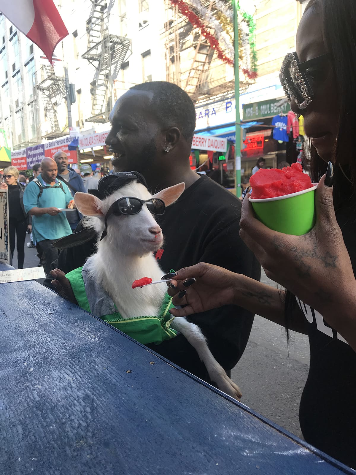 pet goat at Italian street festival
