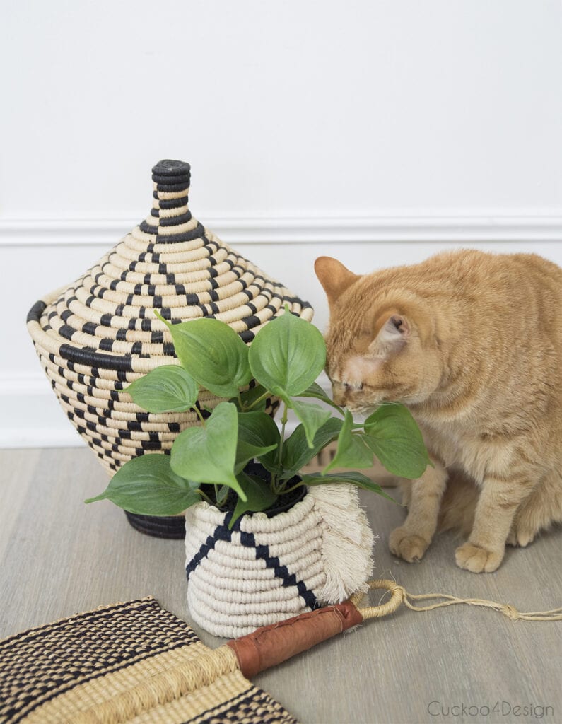 Easy DIY Macrame Basket Using Only Two Knots - Cuckoo4Design