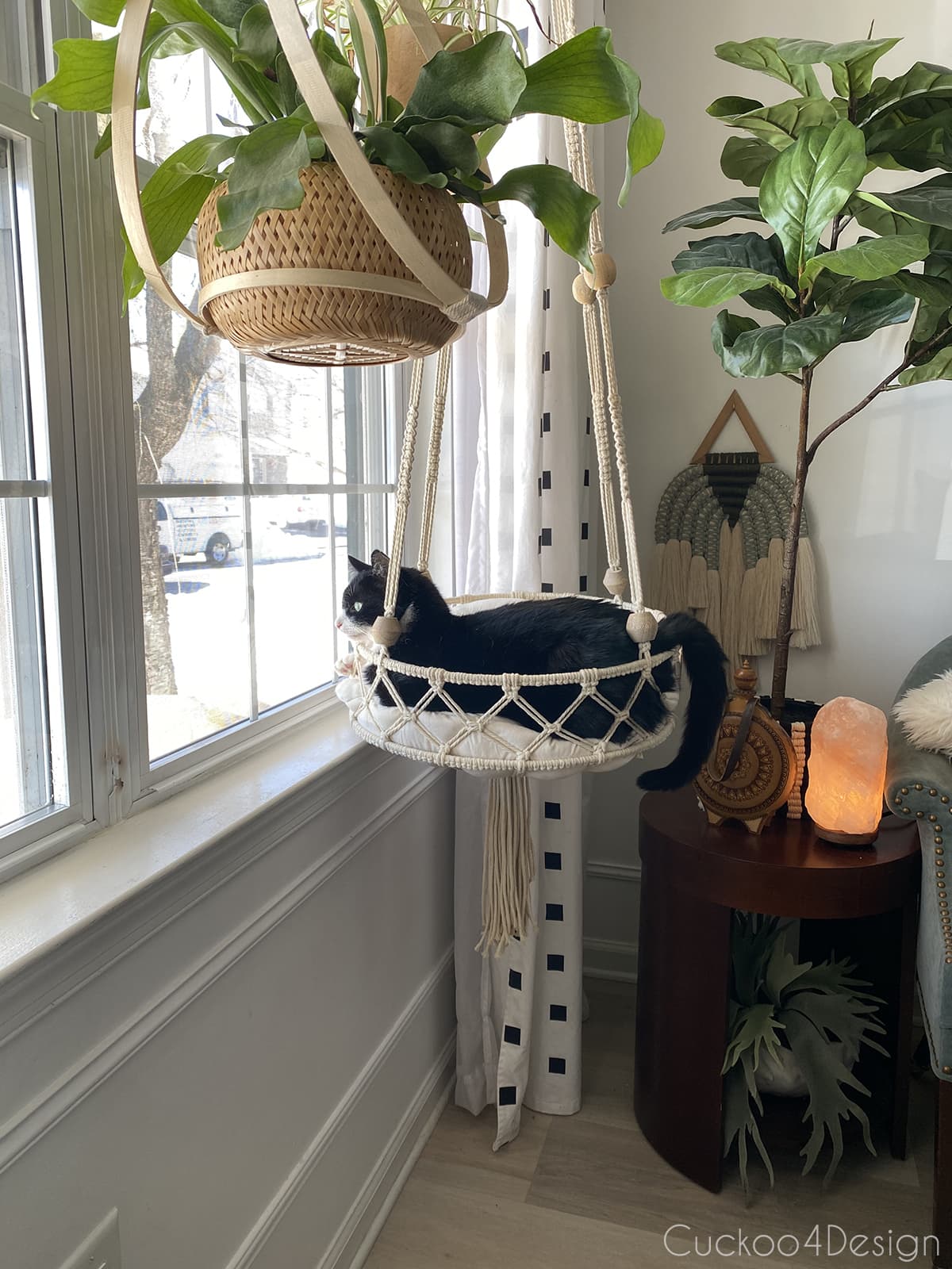 our tuxedo cat looking out the window from macrame cat bed
