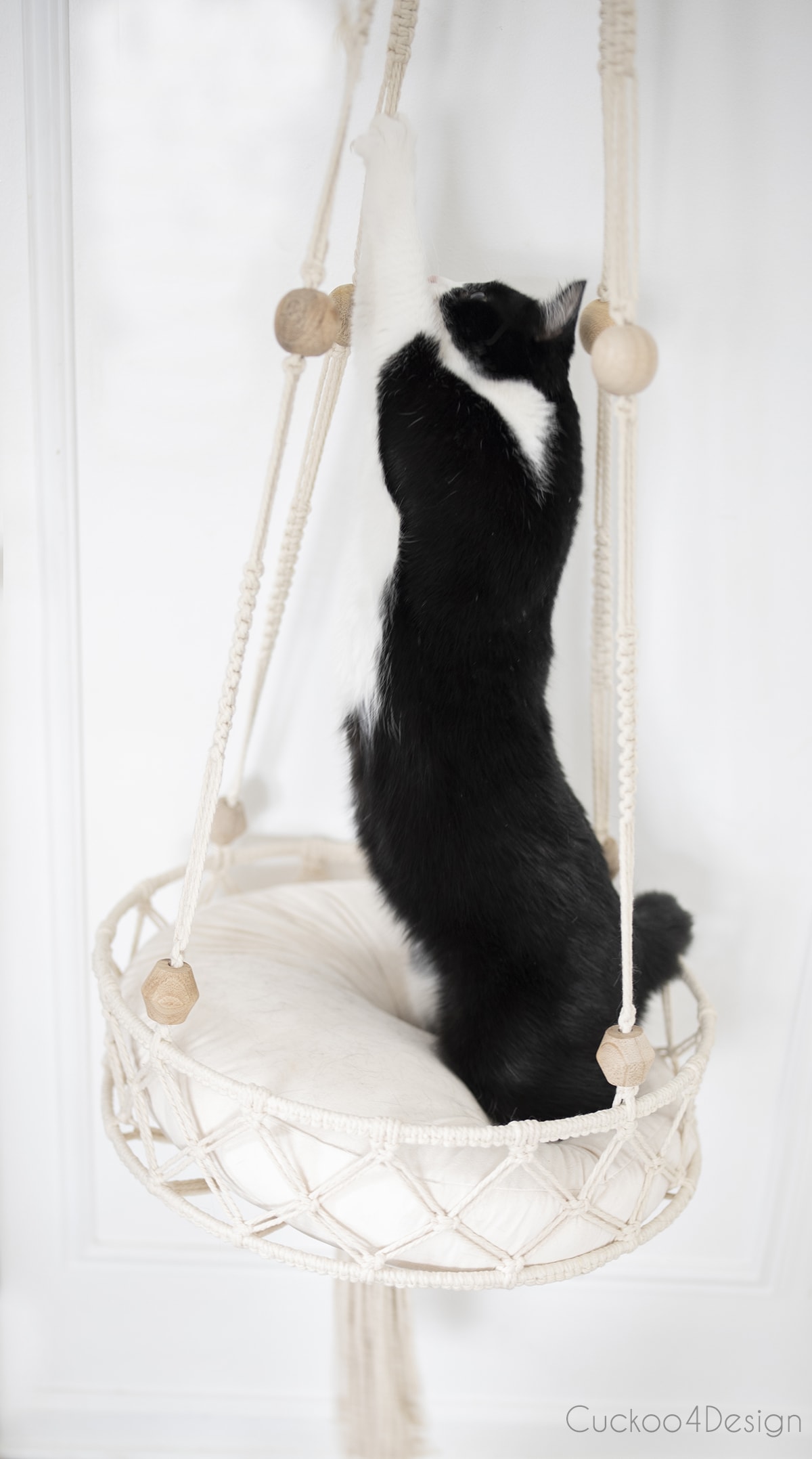 tuxedo cat standing in hanging macrame cat bed