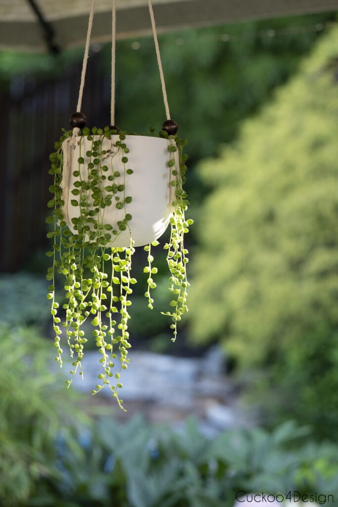string of pearls hanging in patio umbrella