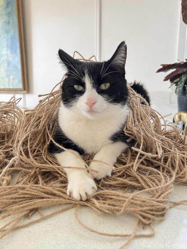 tuxedo cat laying in jute yarn