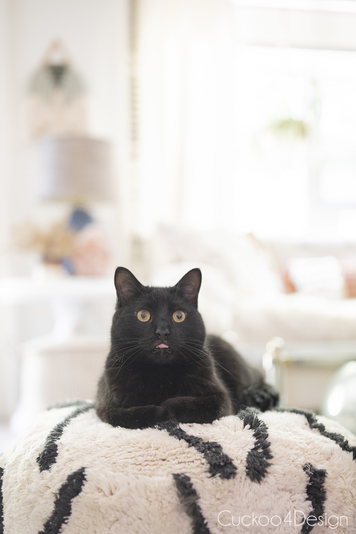 black cat laying on stuffed pouf ottoman