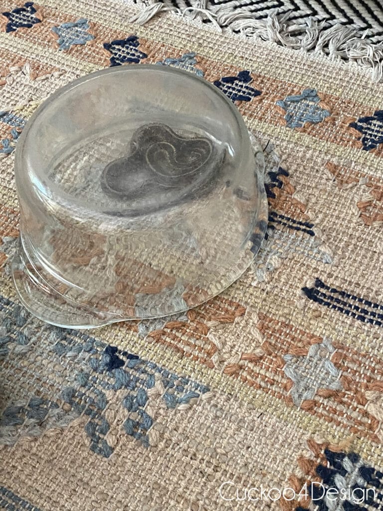snake on our living room area rug