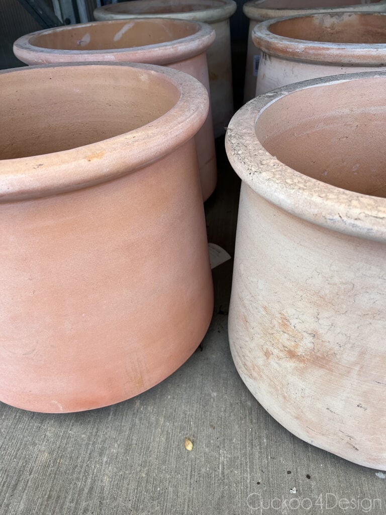 beautiful light colored terracotta pots