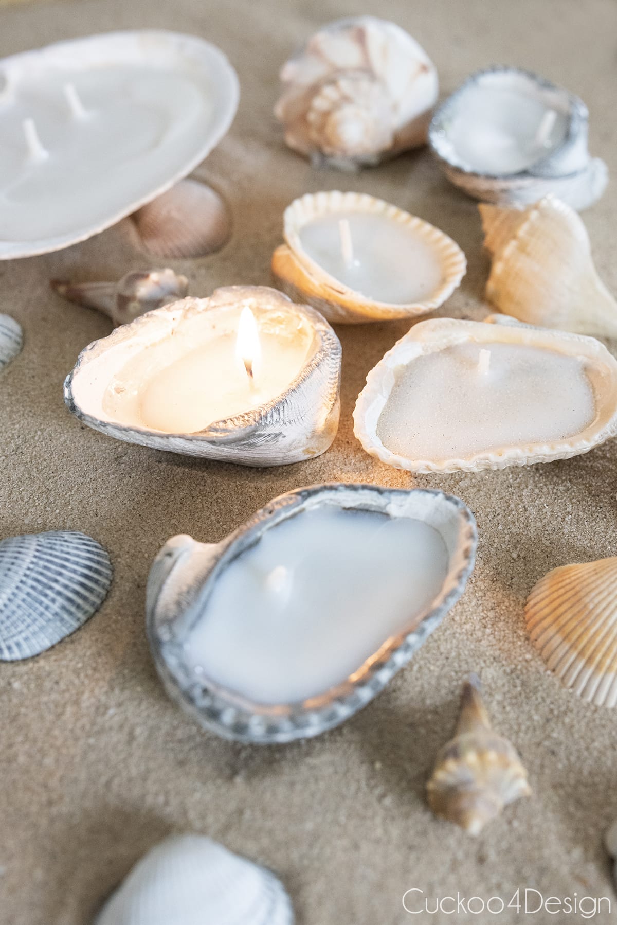 seashell tealights on sand with one of them lit