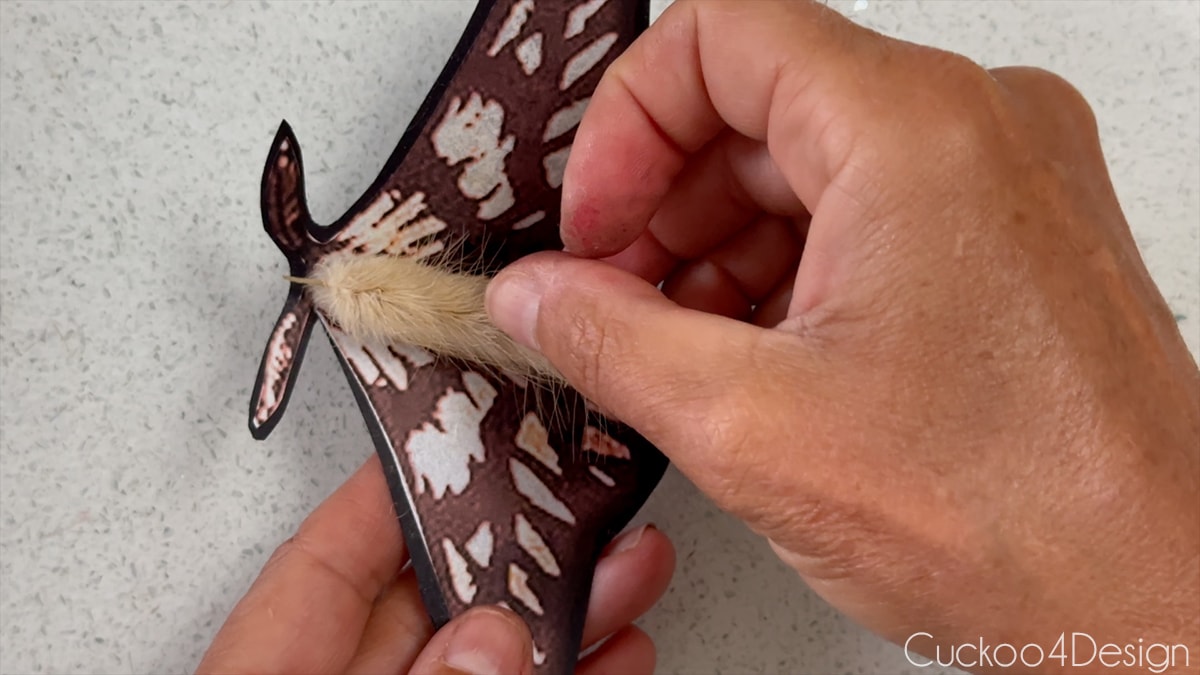 placing a bunny tail grass into center of paper moth