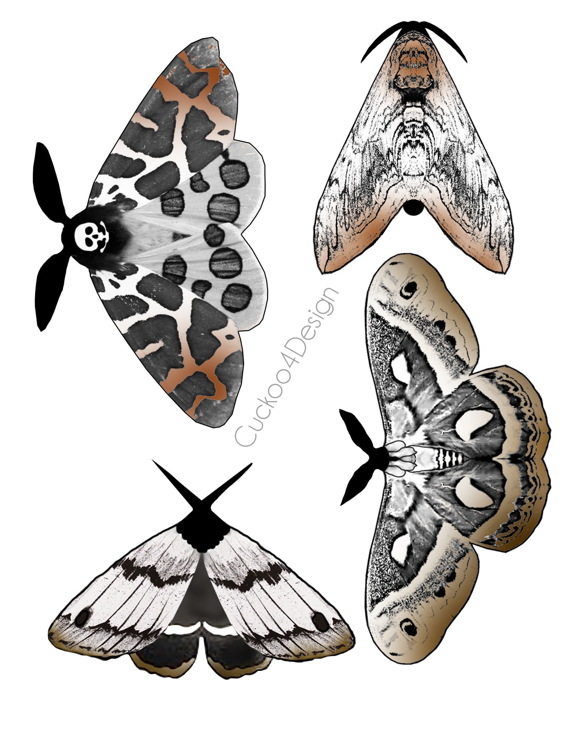 4 templates to make paper moths