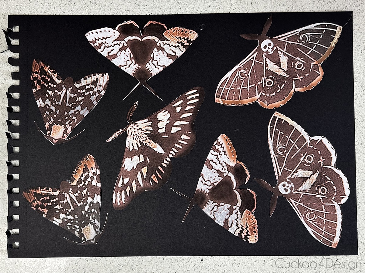 7 paper moth shapes pasted on black craft paper 