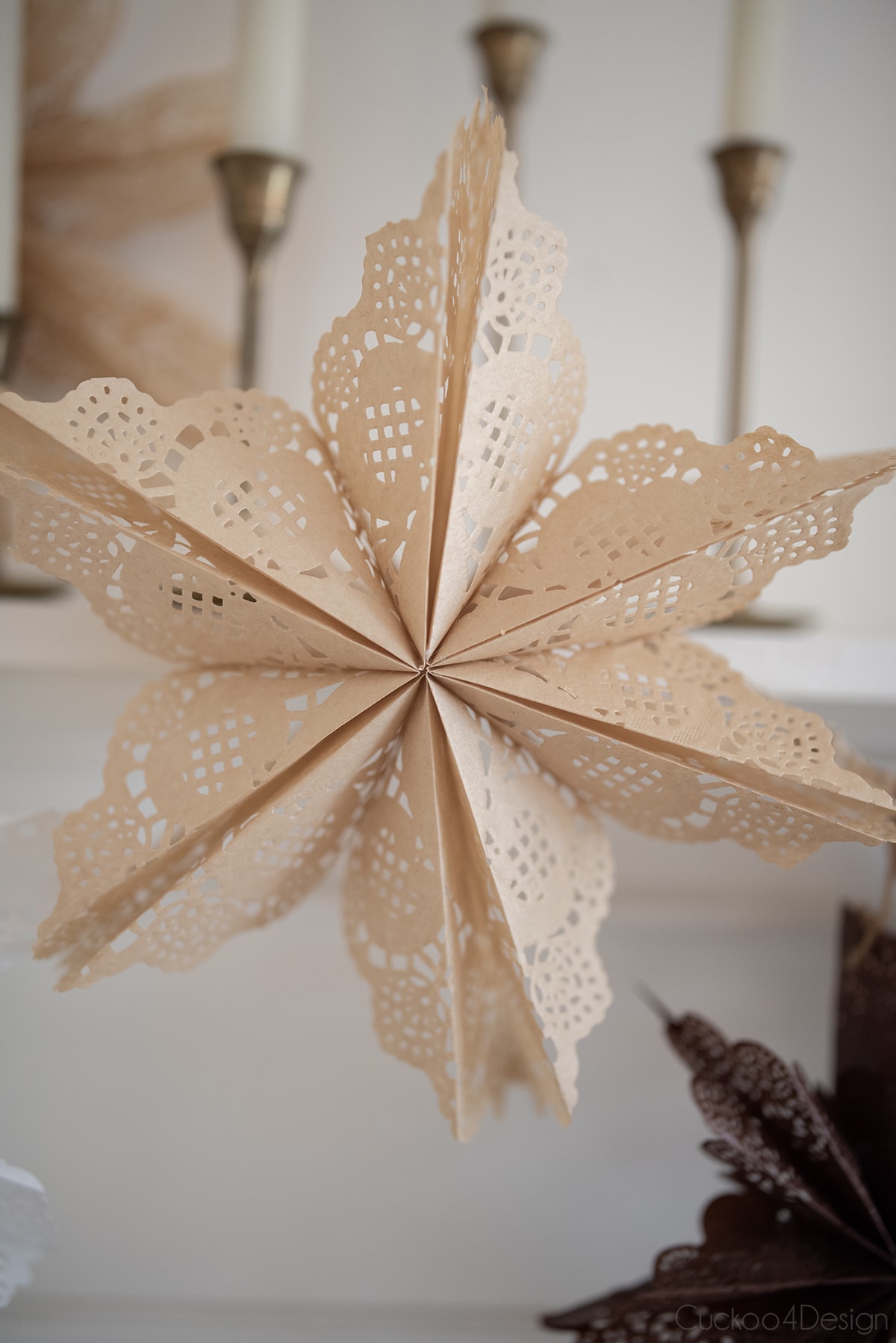 close-up of brown paper doily with sick points