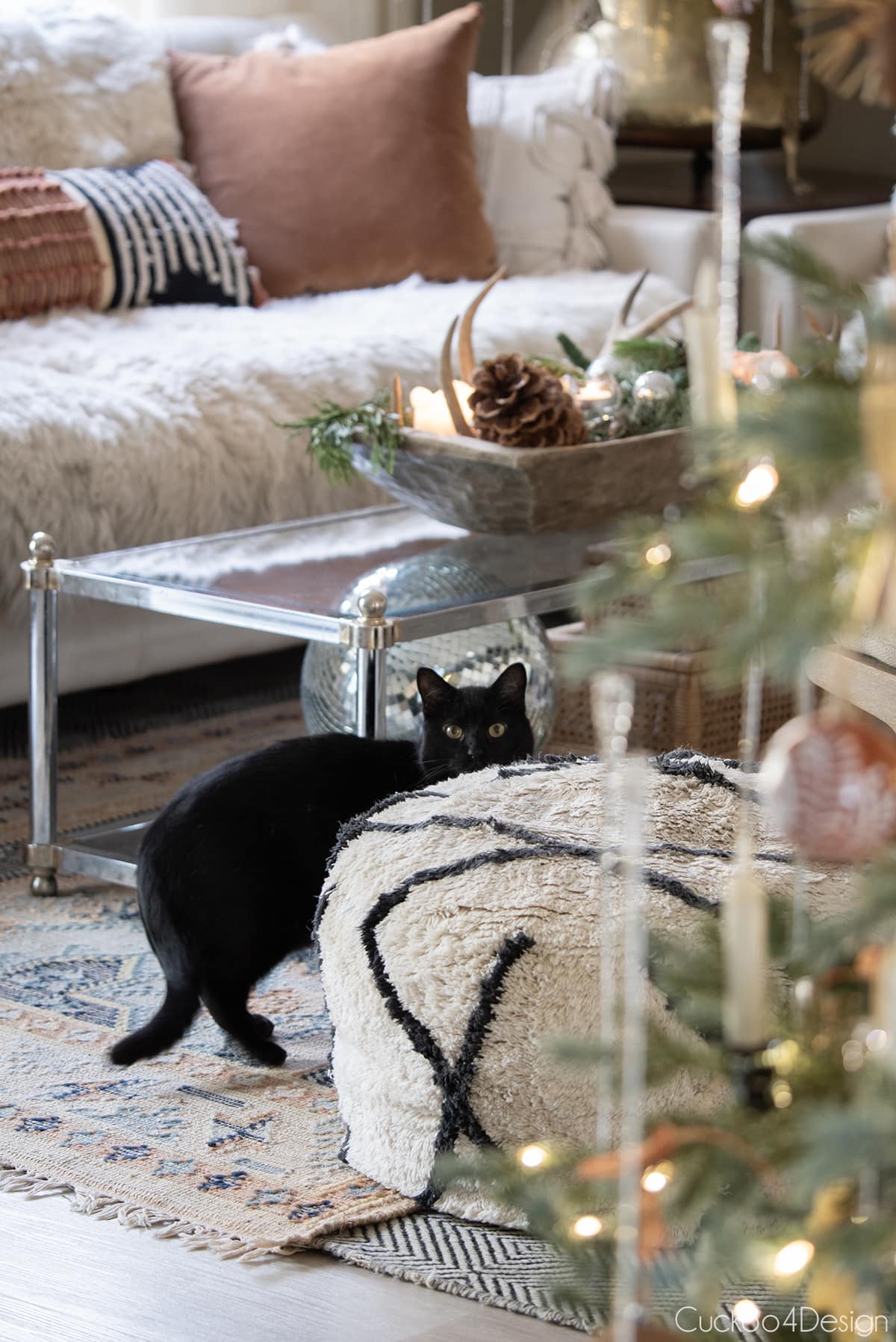 black cat walking passed Christmas tree