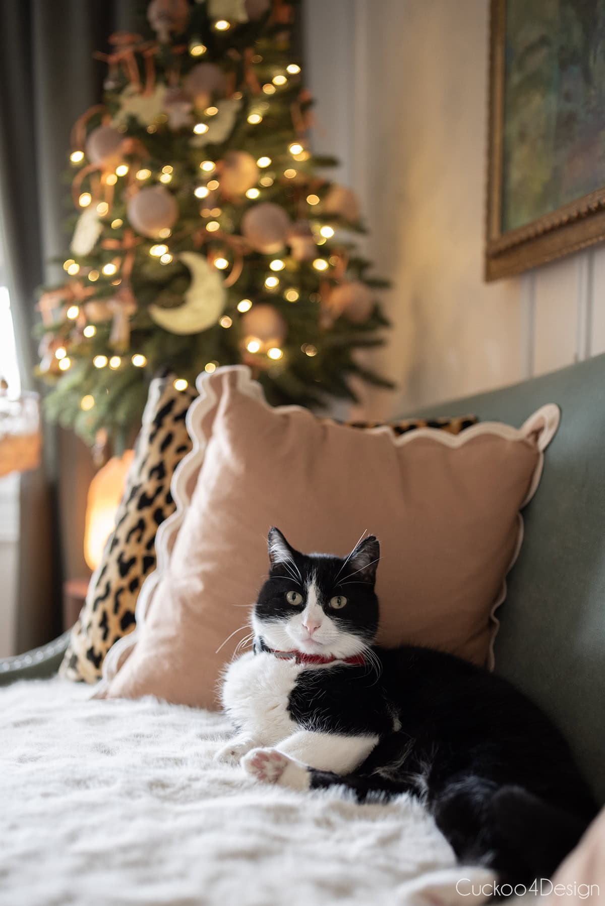 tuxedo cat sleeping on faux fur in front of small Christmas tree