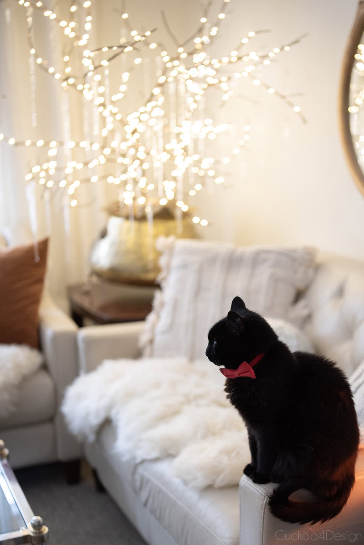 black cat sitting in front of icicle branch bush lit by fairy lights