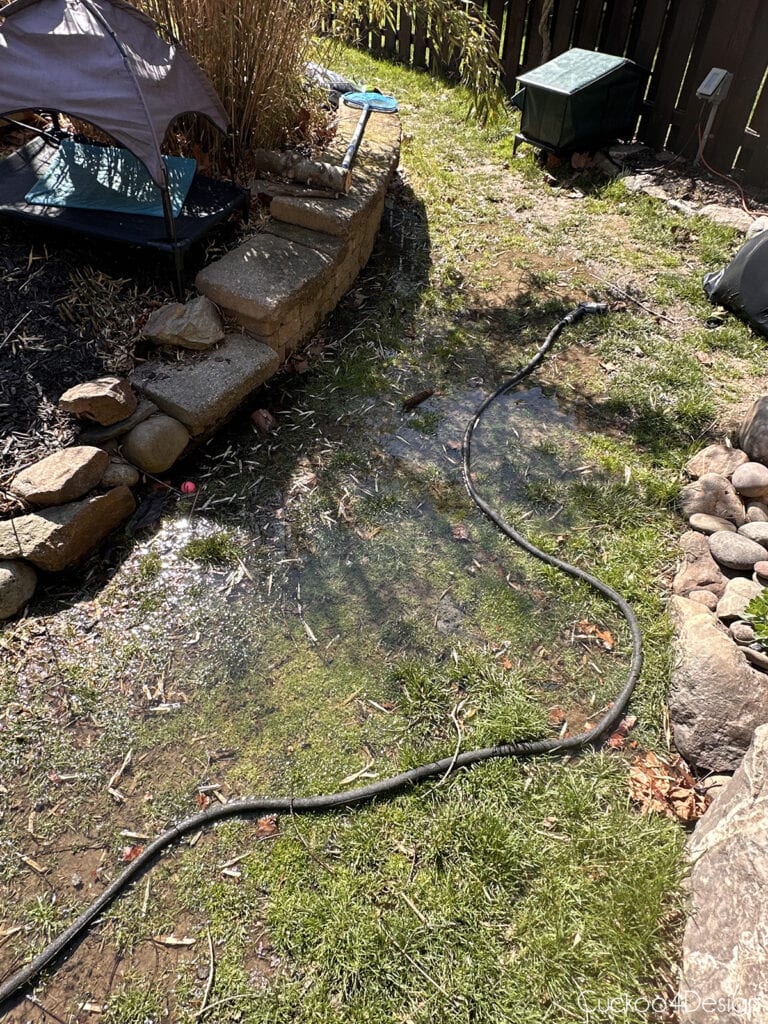flooded backyard with grass
