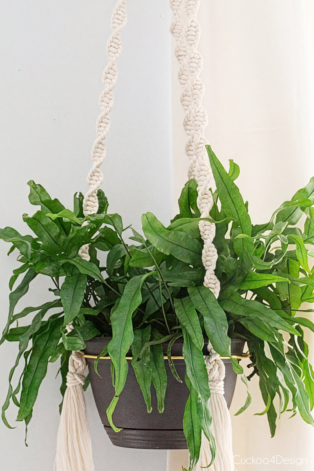 How to Make a Simple Macrame Plant Hanger - Cuckoo4Design