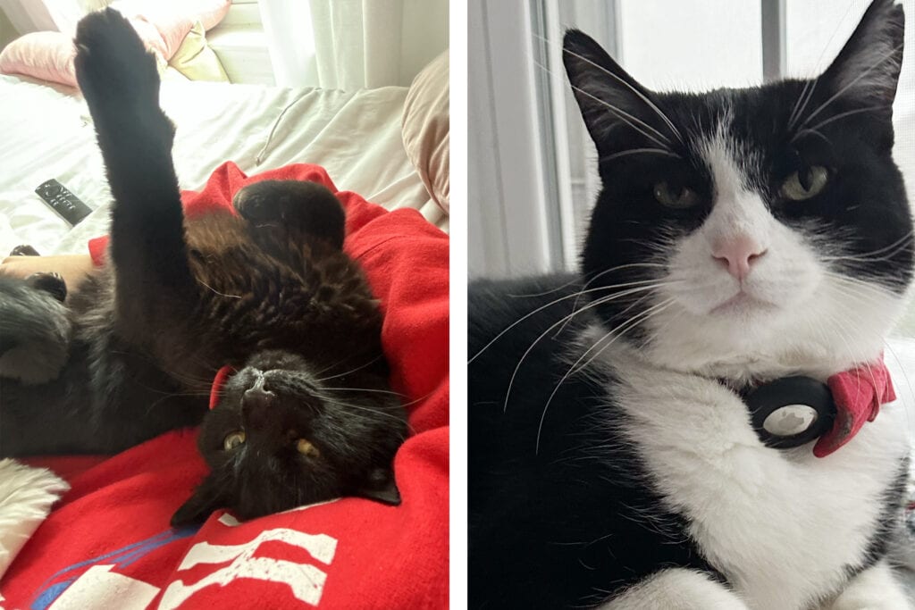 Walter and Willy