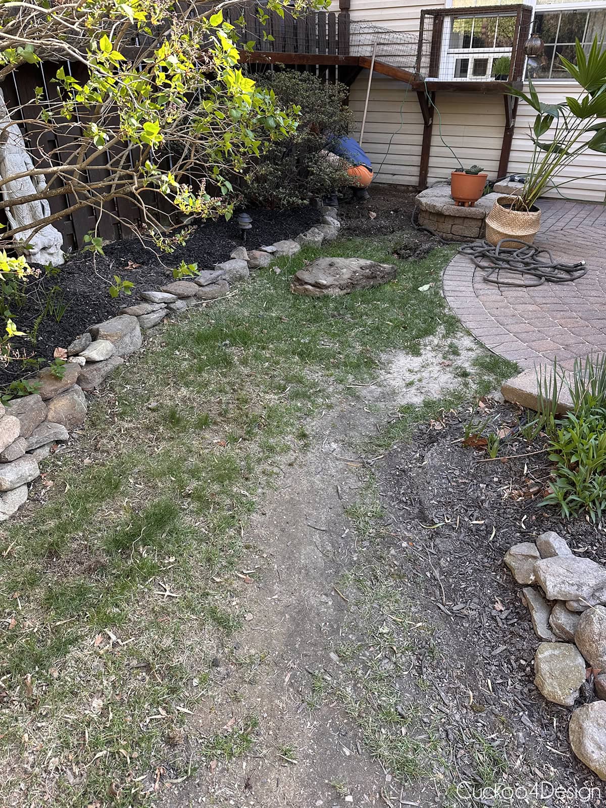 backyard before removing terrible grass