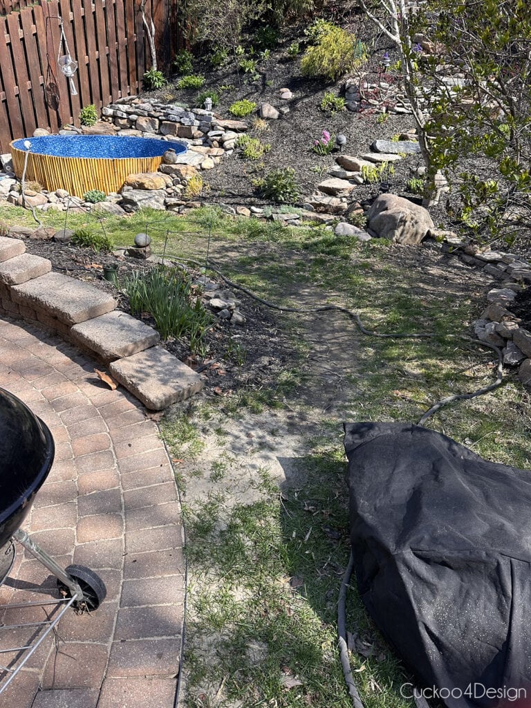 backyard before removing terrible grass
