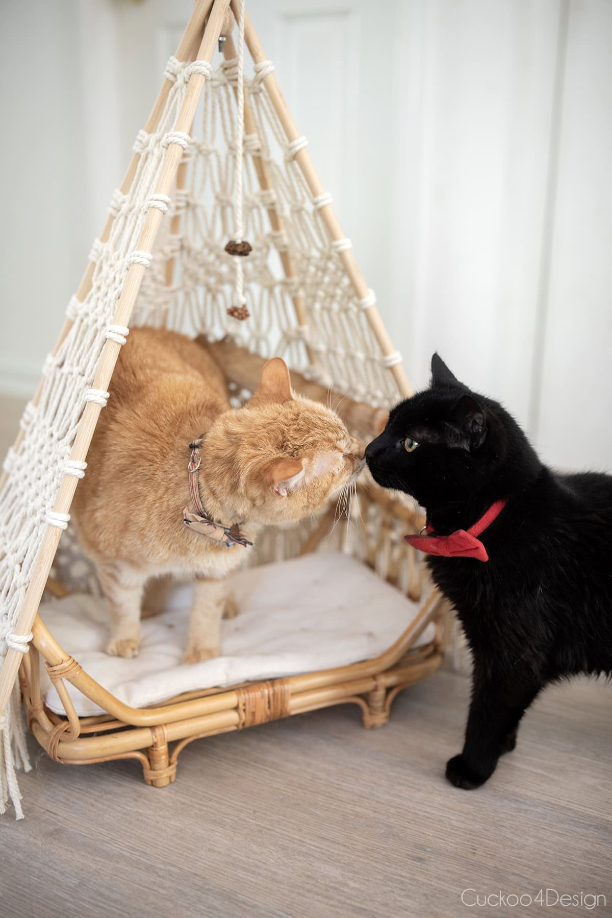 two cats sniffing each other in a macrame cat teepee