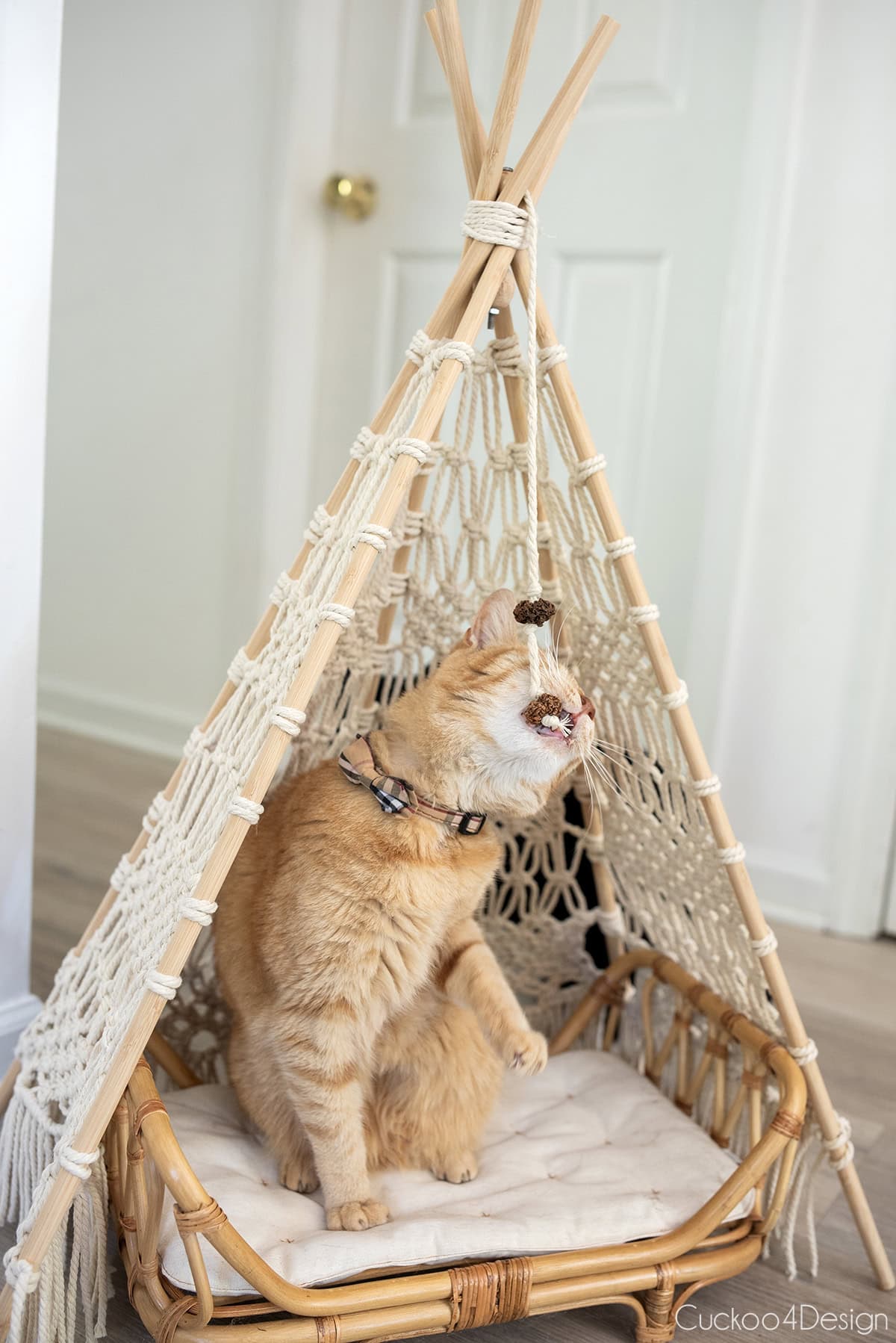 orange tabby cat playing inside a DIY macrame teepee on a round rattan cat bed