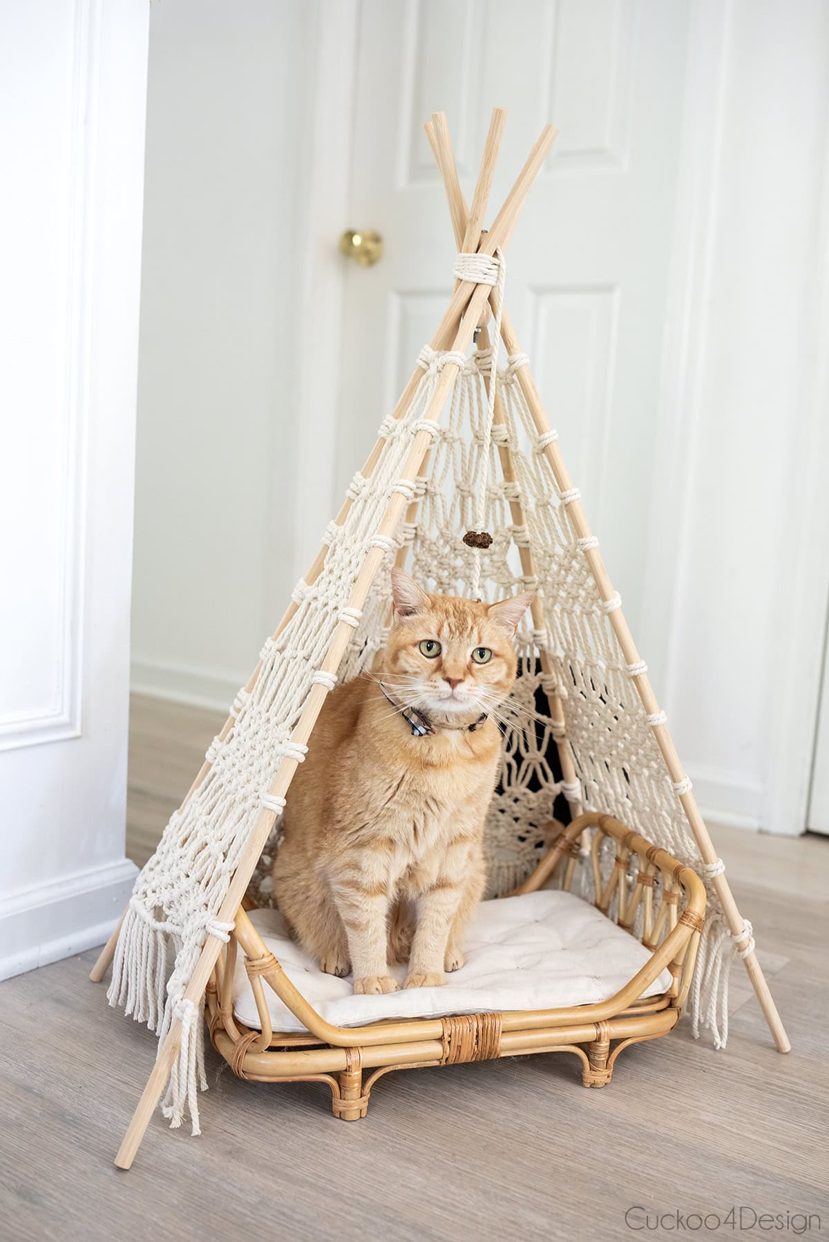 cat sitting on rattan doll bed in macrame cat teepee