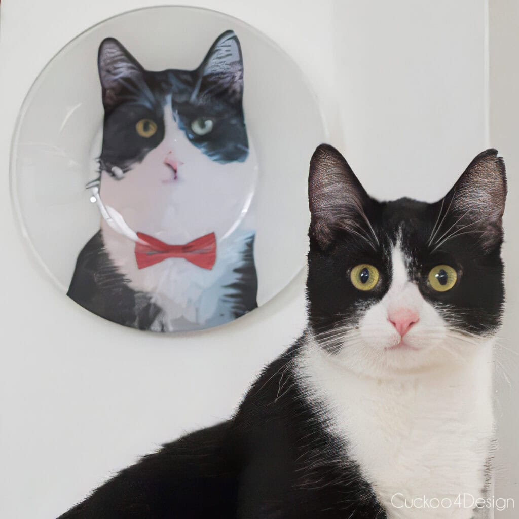 tuxedo cat sitting next to finished DIY pet portrait hanging on the wall