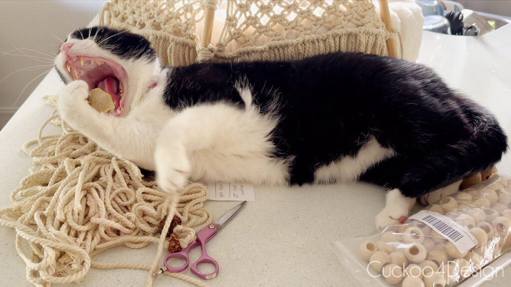 tuxedo cat eating macrame supplies