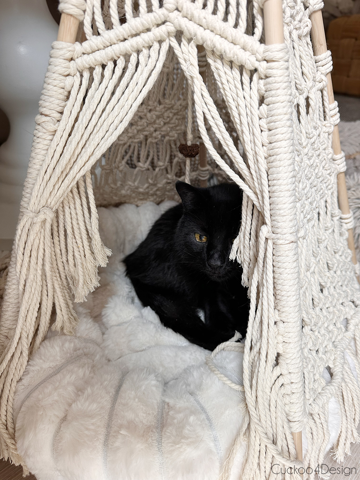 black cat sleeping in macrame teepee
