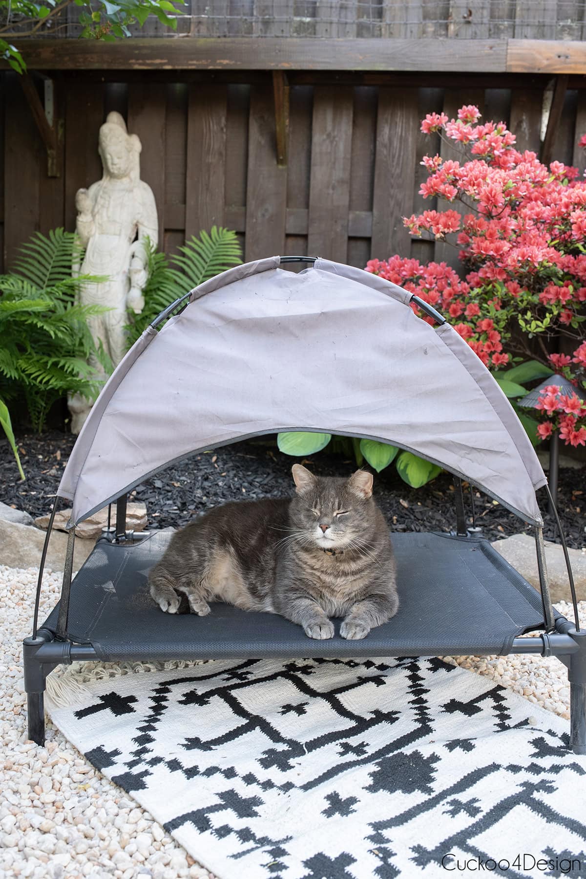 gray cat lounging in outdoor pet tent with area rug over pea gravel