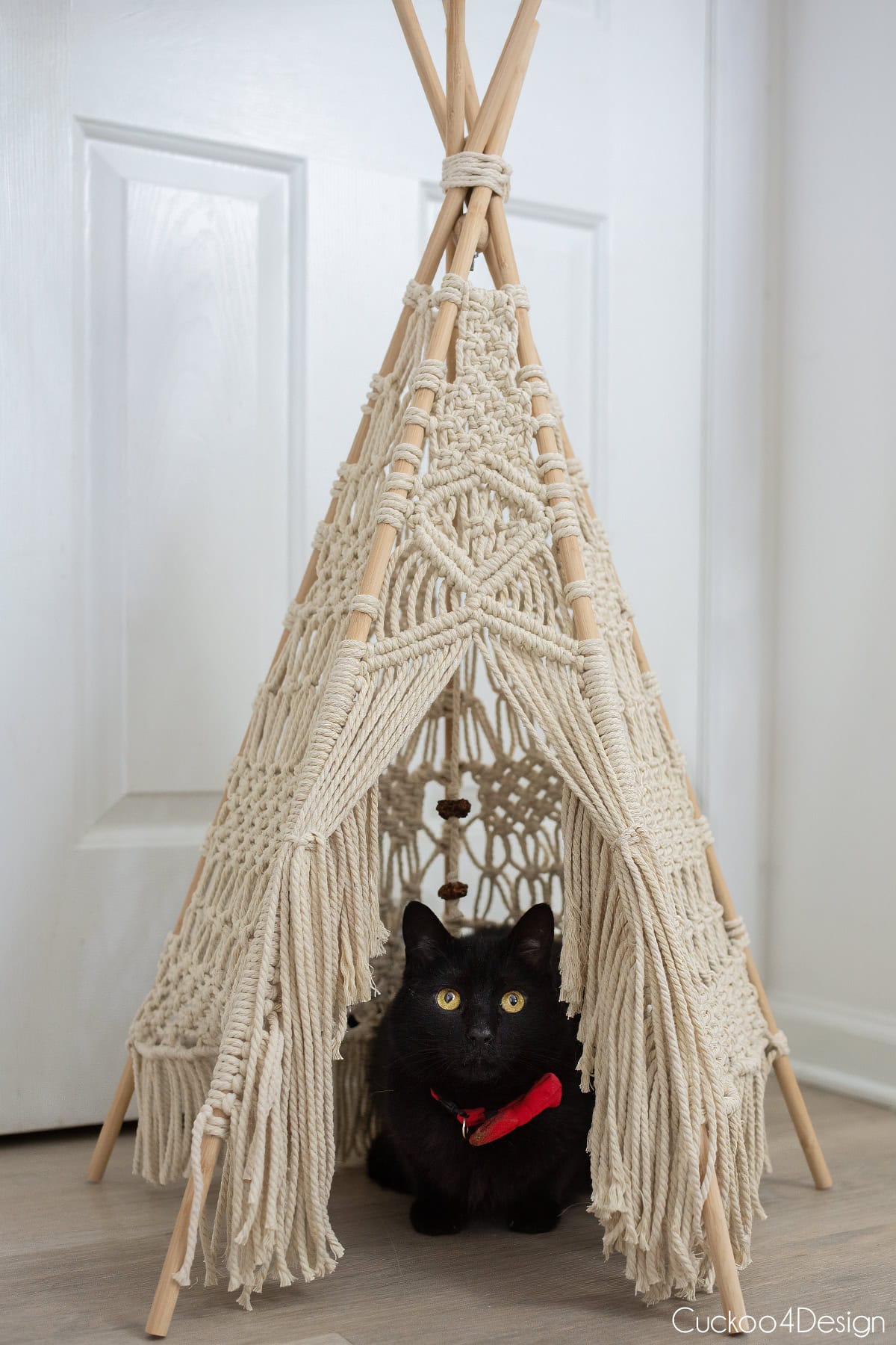 black cat with red bow lying inside finished macrame teepee