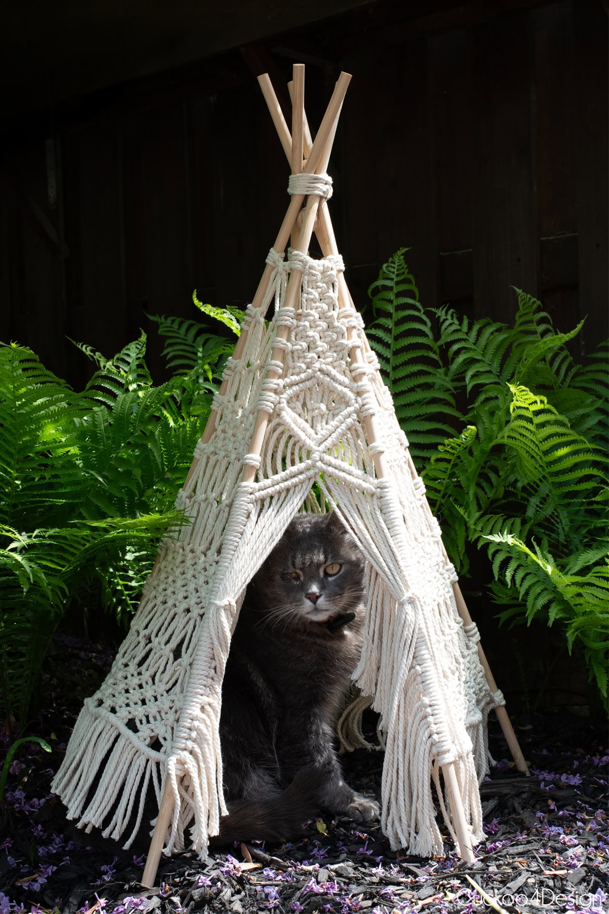 macrame teepee with a gray cat sitting in the opening surrounded by green ferns
