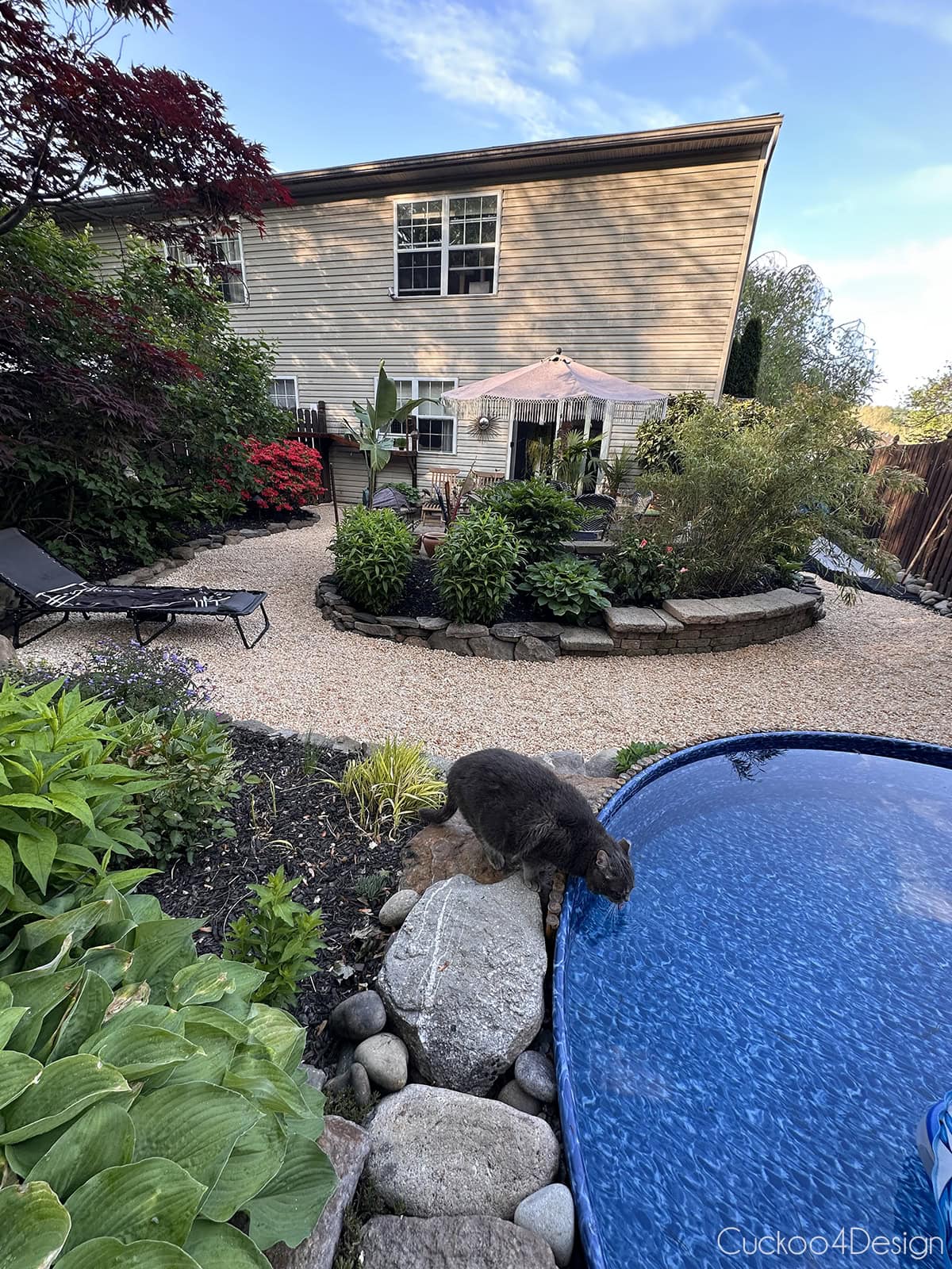 cat drinking out of stock tank pool with view of the full yard