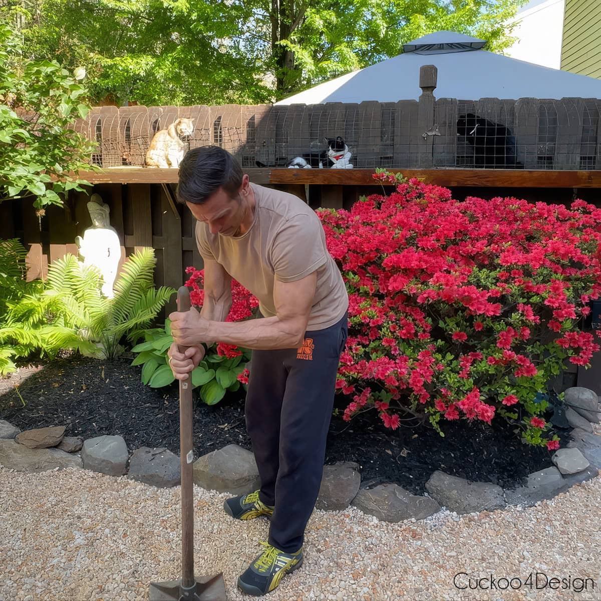 tamping down pea gravel with cats in the background
