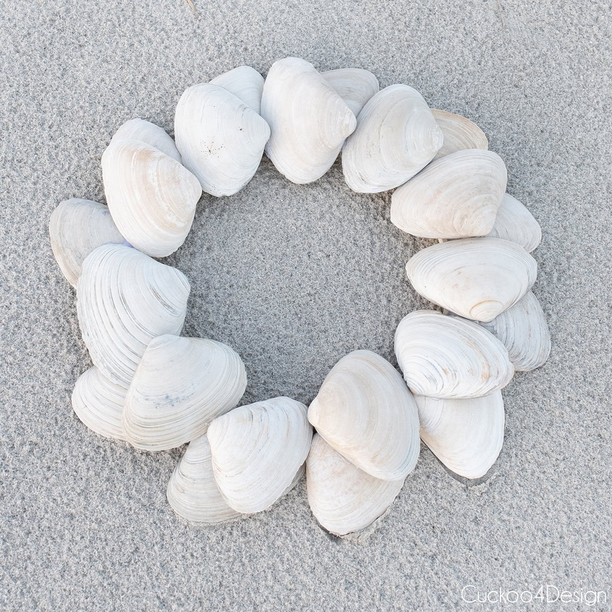 DIY seashell wreath using large clam shells laying in the sand