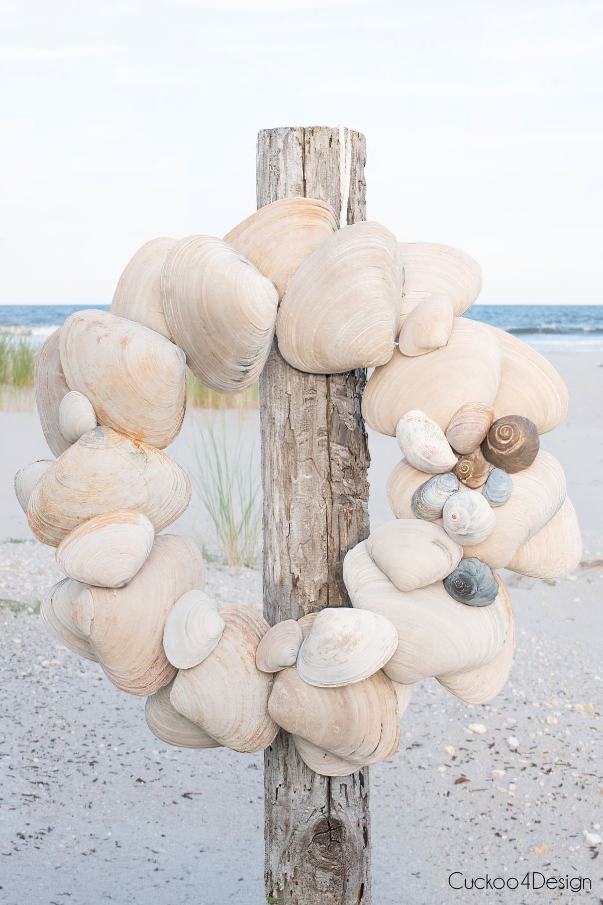 DIY seashell wreath made with large clam shells and with snail shell detail hanging on driftwood