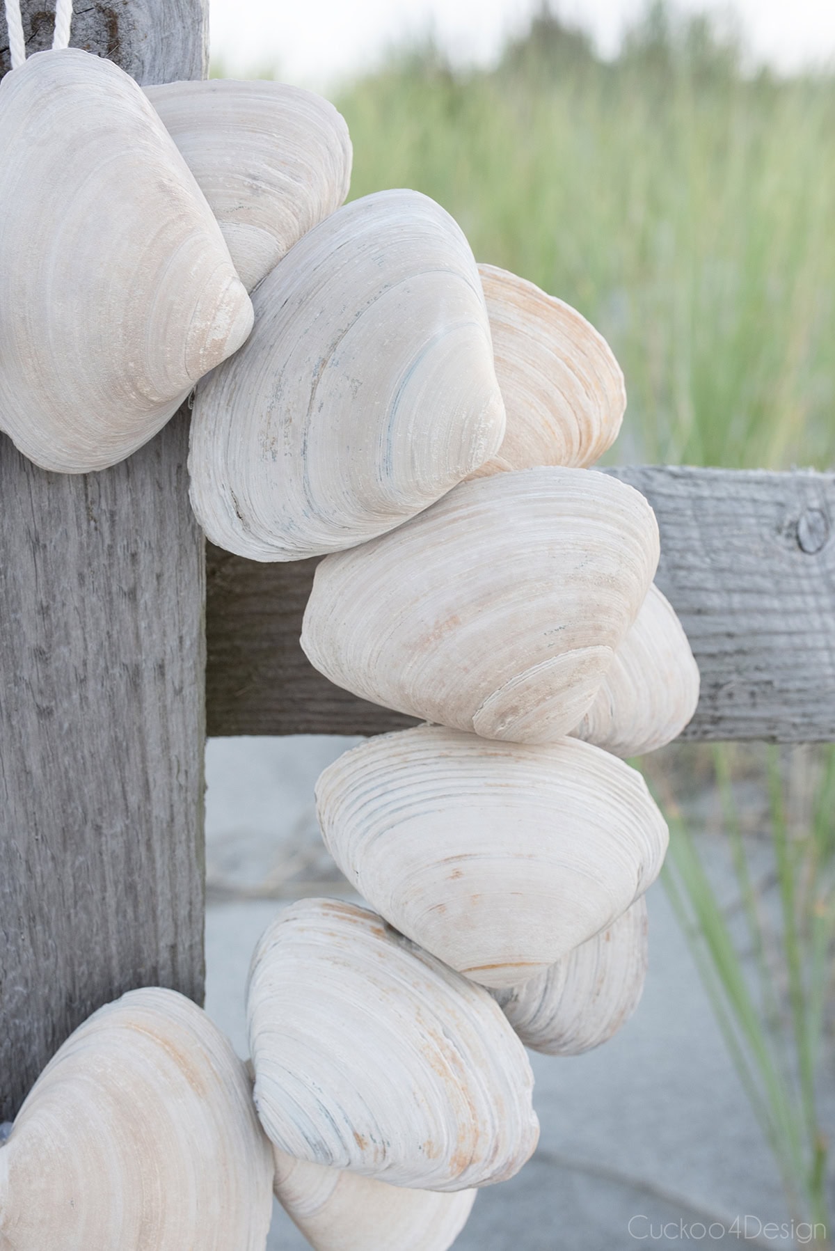 close-up of seashell wreath using large clamshells hanging on beach fence