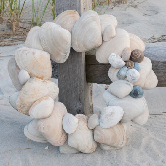 DIY Seashell Wreath Using Large Clamshells