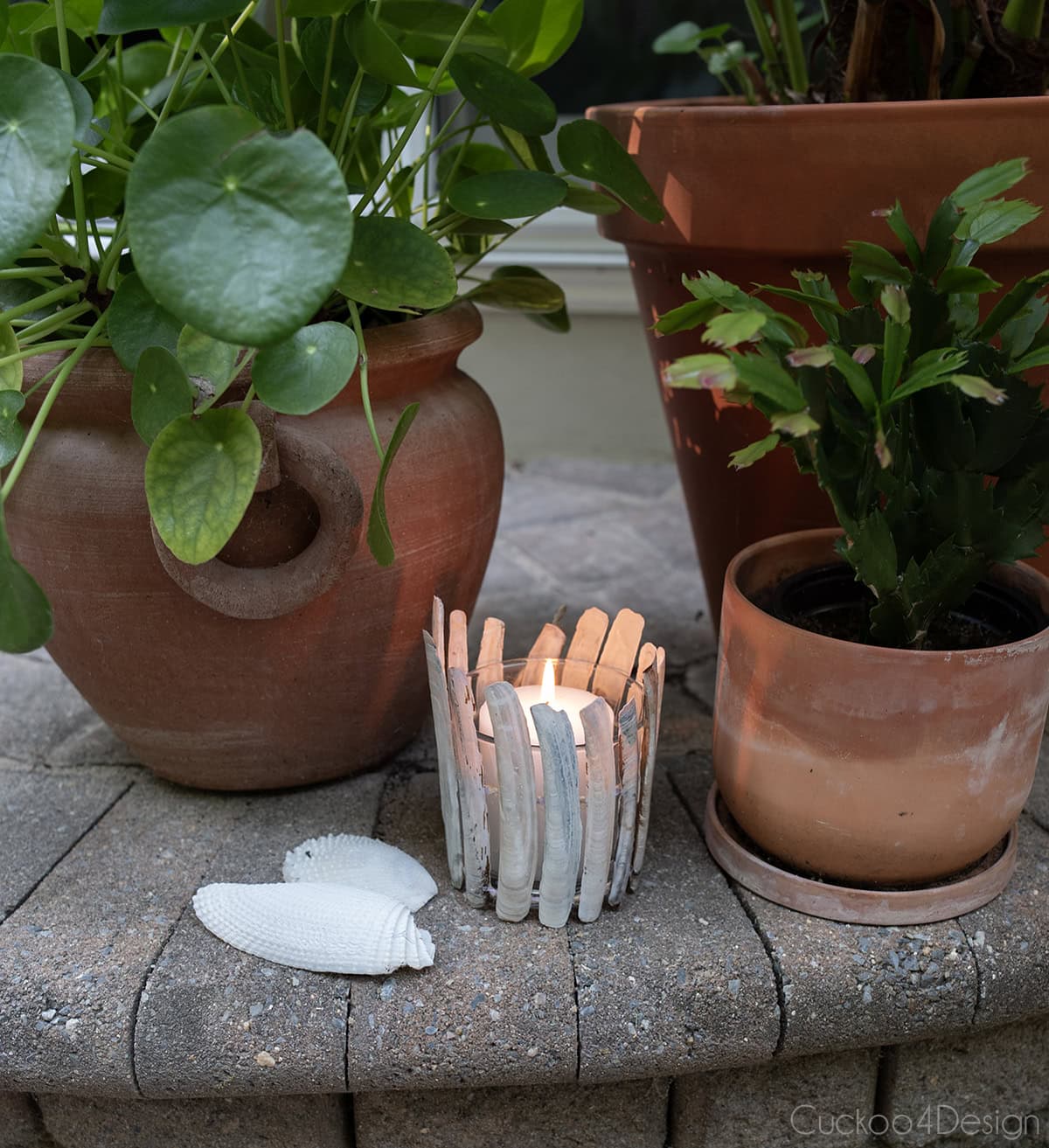 seashell candle holder using razor clamshells on jute yarn, with lit candle, surrounded by terracotta planters
