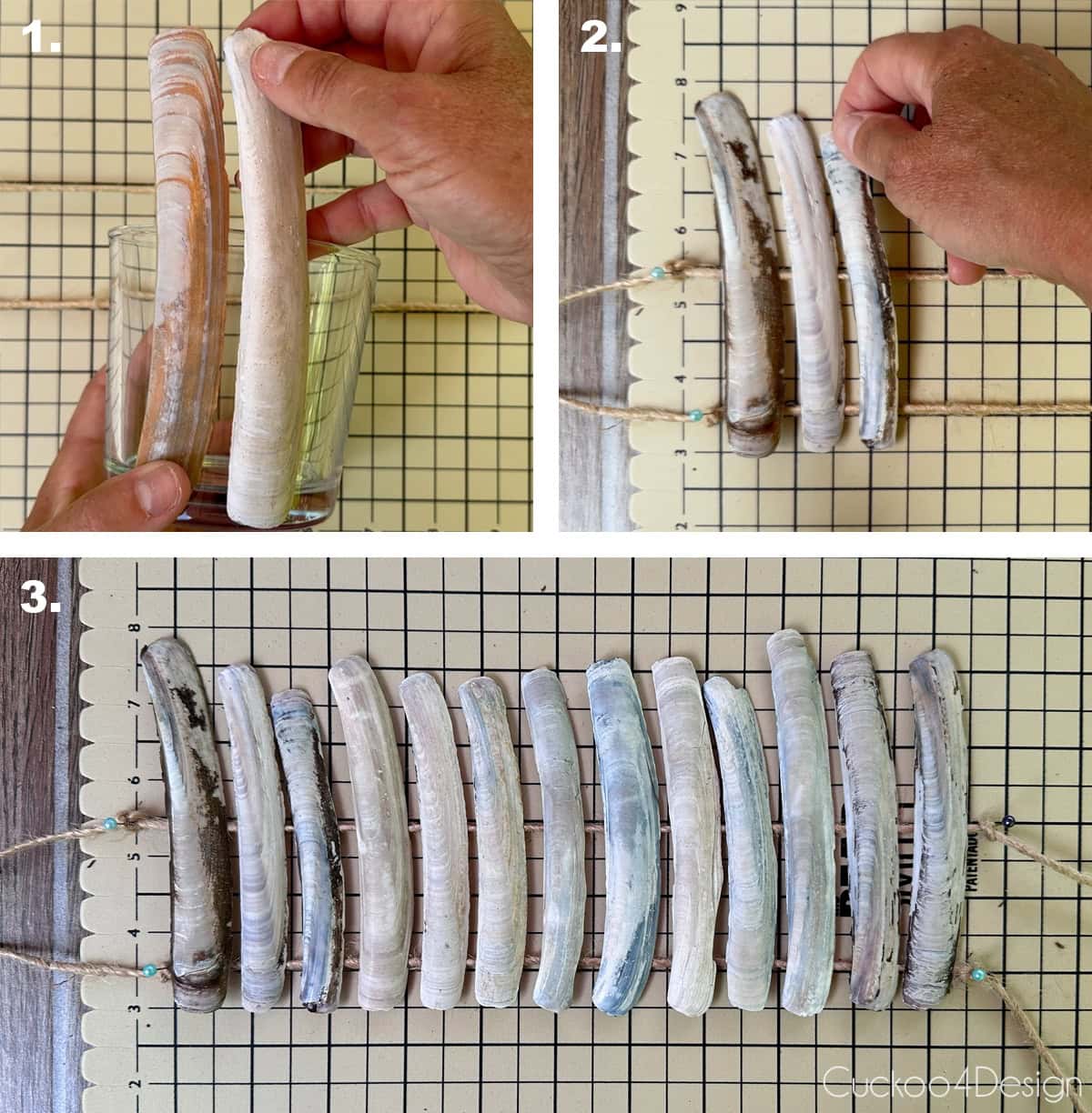 laying out the razor clamshells onto the secured jute yarn strings