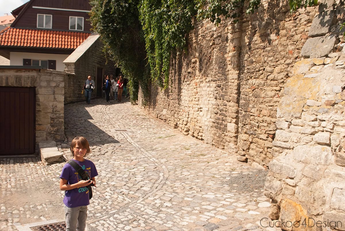 boy on a cobblestone lane beside an old stone wall in Kutná Hora