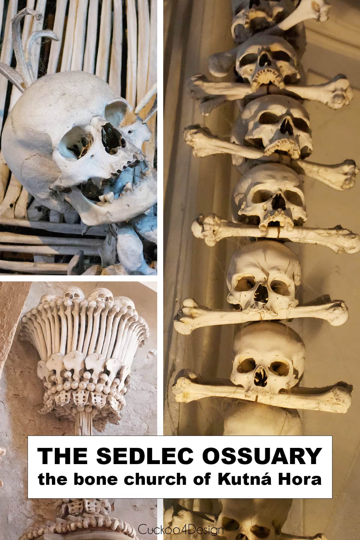 Sedlec Ossuary bone church collage with a skull and crossbones garland, a bone chalice, and a skull from the Schwarzenberg coat of arms