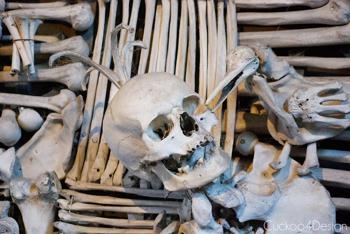 Raven made of bones pecking at a skull, part of the Schwarzenberg coat of arms in the Sedlec Ossuary