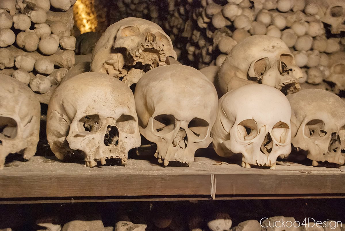 Row of skulls on a wooden ledge in front of stacked bones inside the Sedlec Ossuary, with coins left by visitors